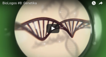 BioLogos #08: Genetika