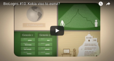 Read more about the article BioLogos #10: Kokia evoliucijos ir tikėjimo dialogo prasmė?