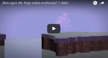Read more about the article BioLogos #06: Kaip veikia evoliucija? 1 dalis
