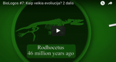 Read more about the article BioLogos #07: Kaip veikia evoliucija? 2 dalis