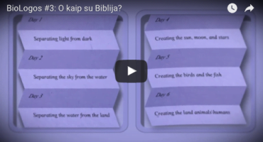 Read more about the article BioLogos #03: O kaip su Biblija?