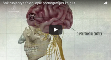 Read more about the article Šokiruojantys faktai apie pornografijos žalą