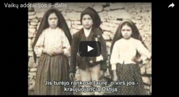 Read more about the article Vaikų adoracijos #2