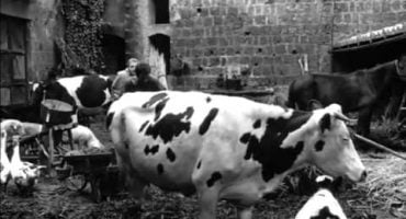 Read more about the article Juozapas Kupertinietis – nepasiduodantis šventasis. Meninis filmas