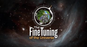 Read more about the article Visatos tikslus suderintumas