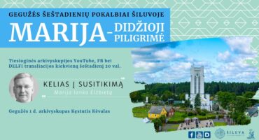 Read more about the article Arkivyskupas Kęstutis Kėvalas – Kelias į susitikimą (Marija lanko Elzbietą)