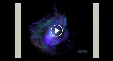 Read more about the article Mokslas yra pilnas netikėtumų. Dokumentinis filmas