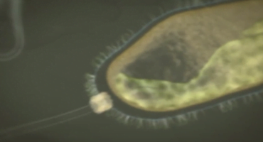 Read more about the article Tikėjimo išbandymas #2: Atsitiktinumo produktas? Dokumentinis filmas