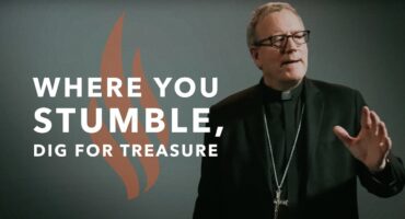 Read more about the article Kur suklumpi, ten ieškok lobio. Vysk. Robert Barron