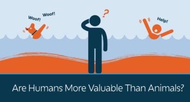Read more about the article Ar žmonės vertingesni už gyvūnus?