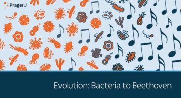 Read more about the article Nuo bakterijos iki Bethoveno