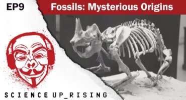 Read more about the article Mokslo pabudimas (9). Fosilijos: slėpininga kilmė.