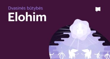 Read more about the article Elohim