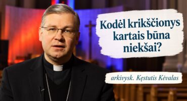 Read more about the article Kodėl krikščionys kartais būna niekšai? arkivysk. Kęstutis Kėvalas 