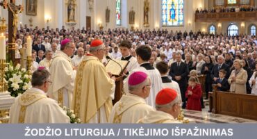 Read more about the article Šv. Mišių eiga