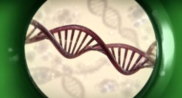 Read more about the article BioLogos #08: Genetika