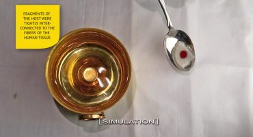 Read more about the article Sokulkos Eucharistijos stebuklas 2008 m.