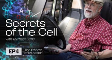 Read more about the article Ląstelės paslaptys #4: Mutacijų pasekmės